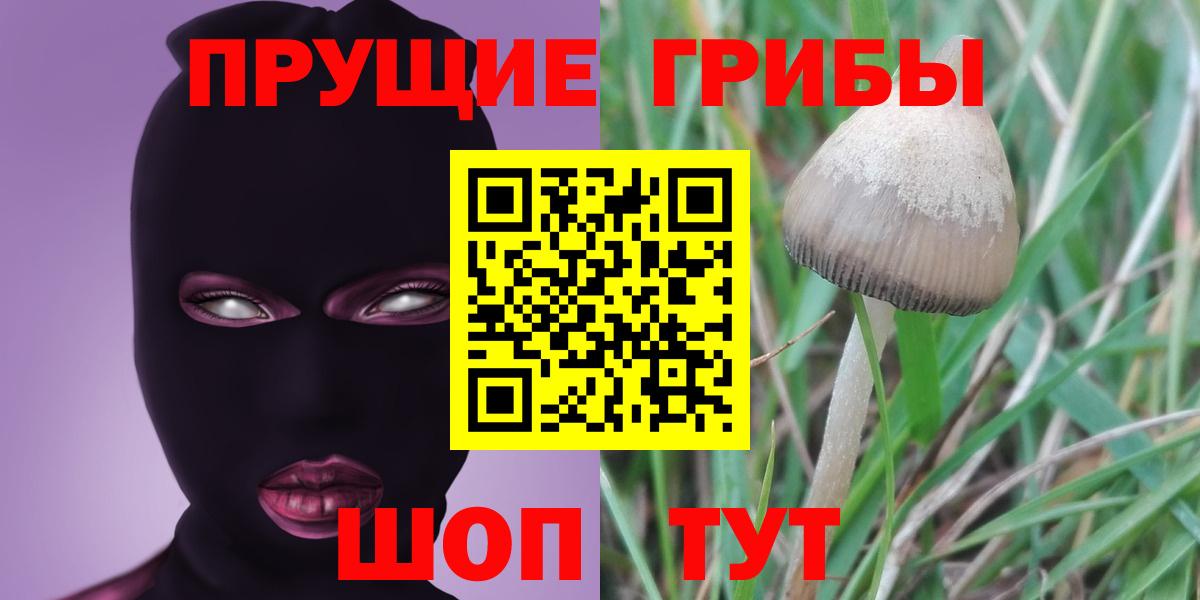 Псилоцибиновые грибы мицелий Северск