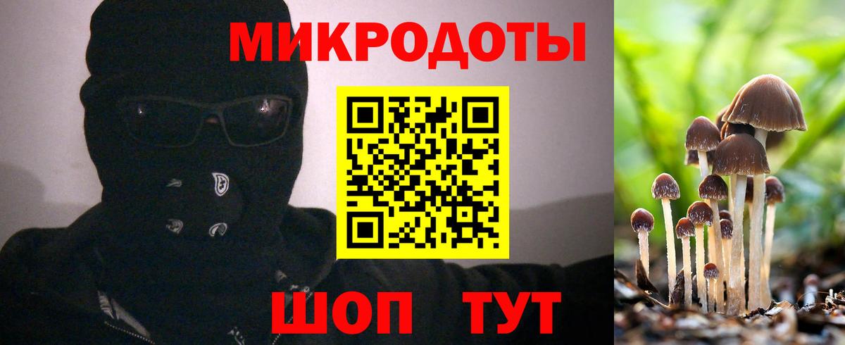 Псилоцибиновые грибы Psilocybe  Вход с VPN  Северск 